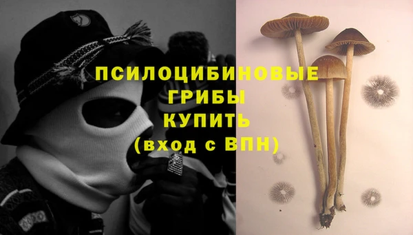 стаф Богородицк