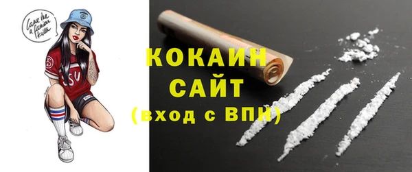 стаф Богородицк